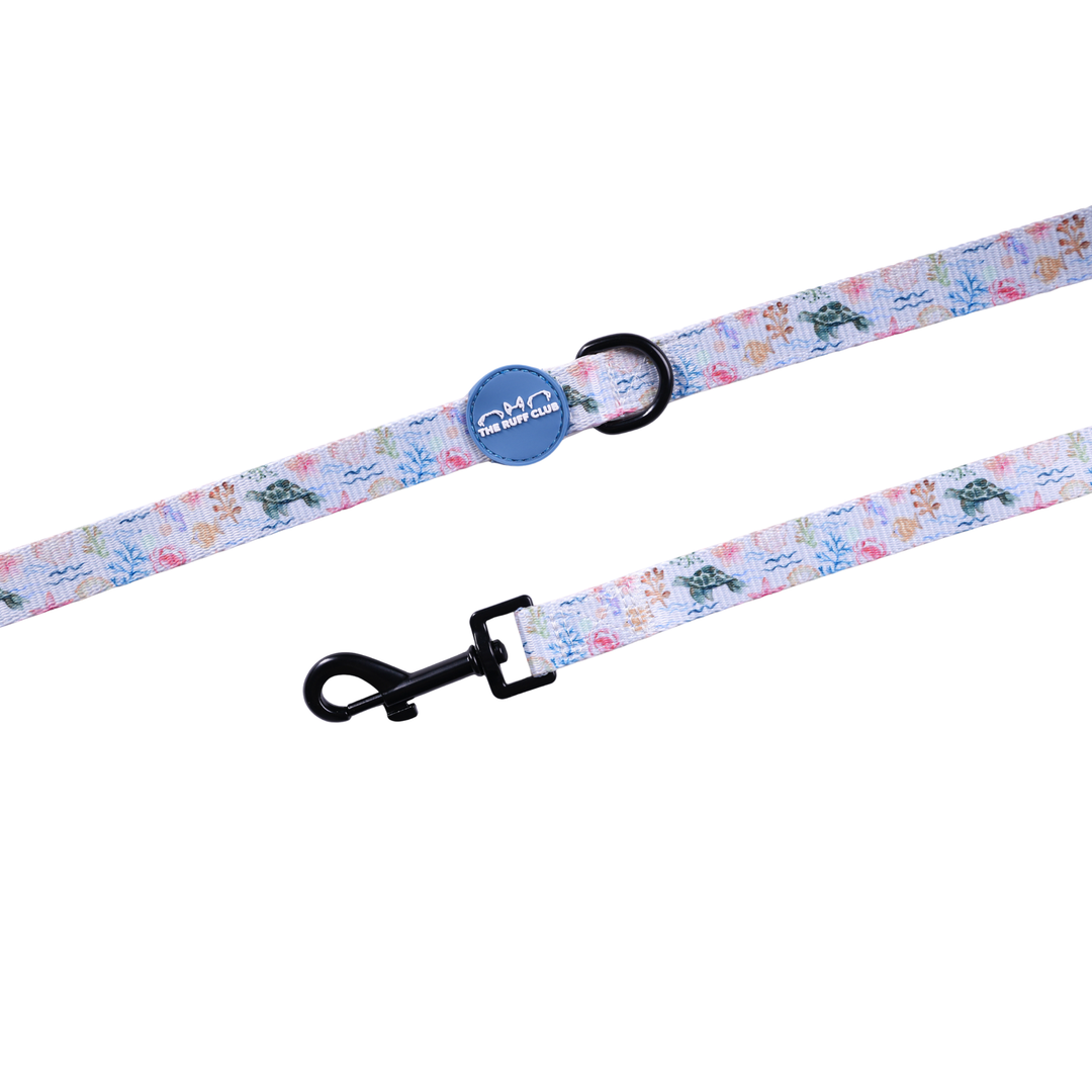Leash | Tide & Tail