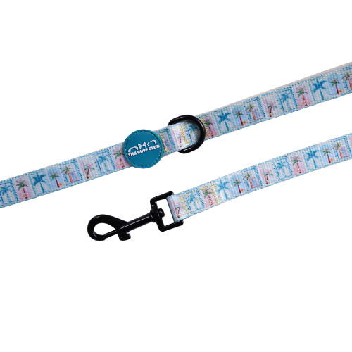 Leash | Burj & Bark