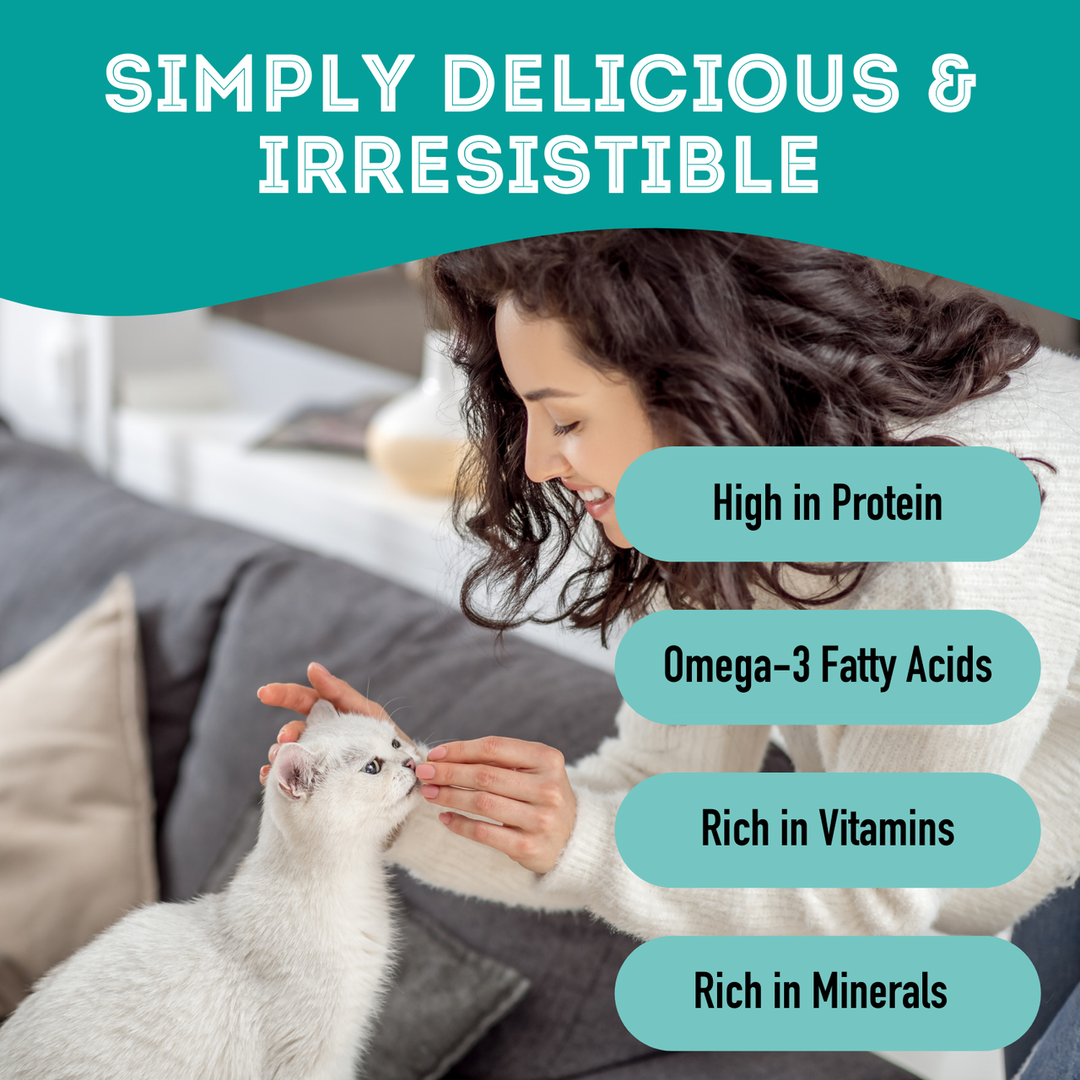 Premium Dehydrated Protein Salmon & Sweet Potato Treat For Dogs & Cats