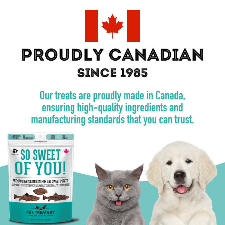 Premium Dehydrated Protein Salmon & Sweet Potato Treat For Dogs & Cats