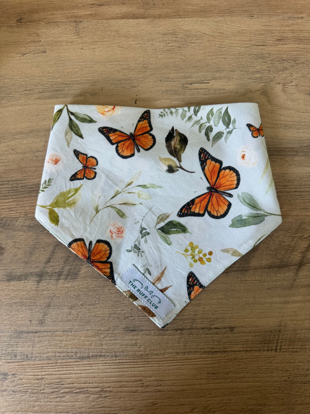 Wings of Fall Pet Bandana | Autumn Collection