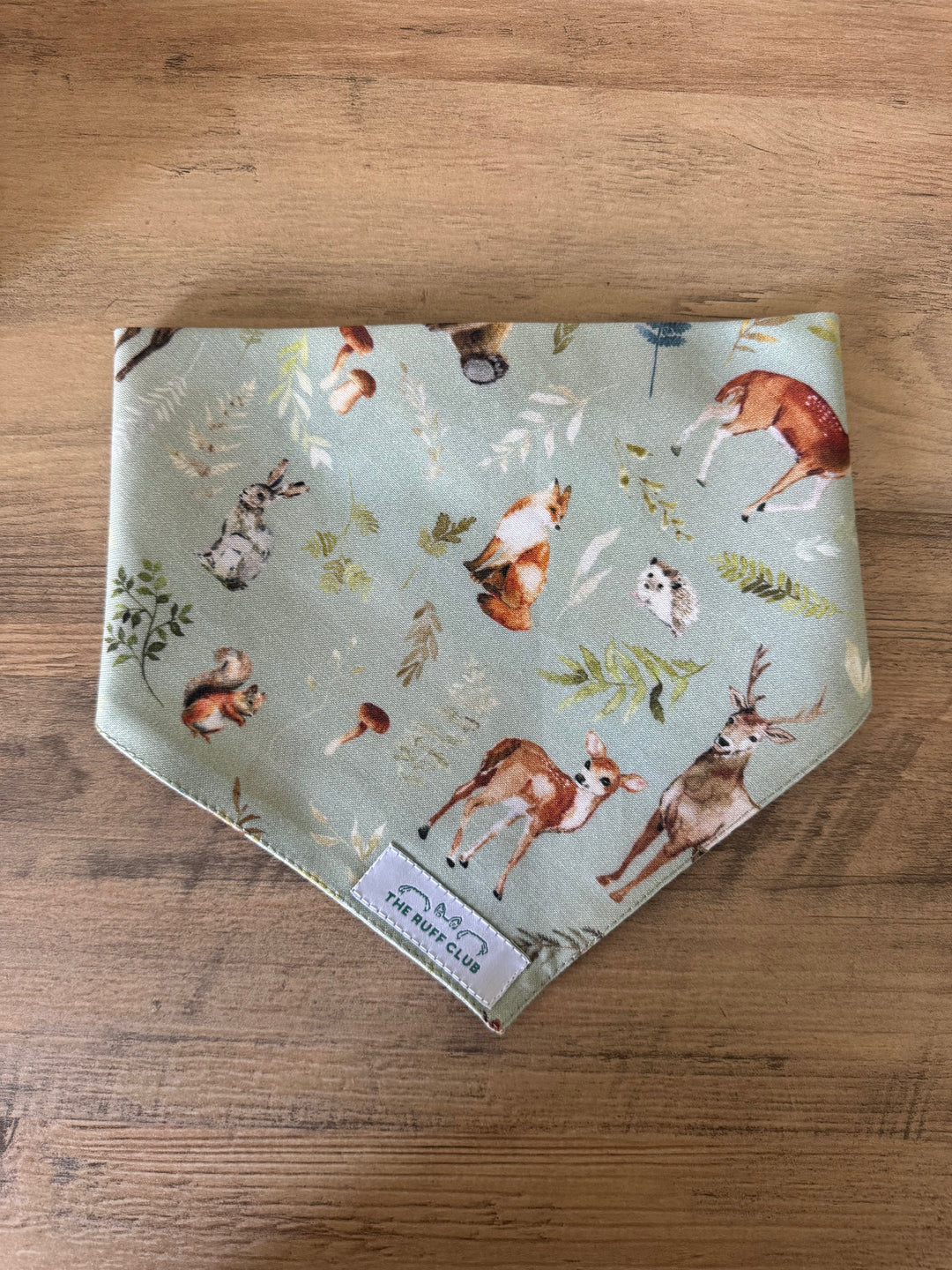 Deerly Loved Pet Bandana | Autumn Collection