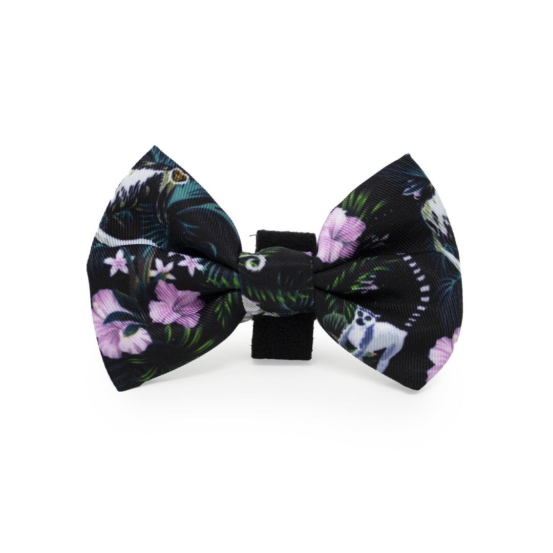 Dog Bow Tie | Midnight Madagascar