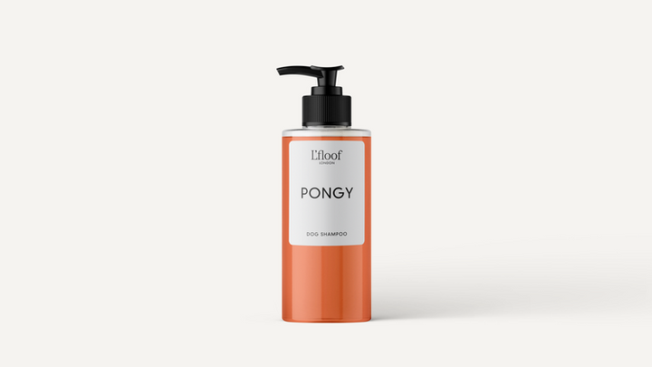 PONGY | Orange & May Chang Shampoo