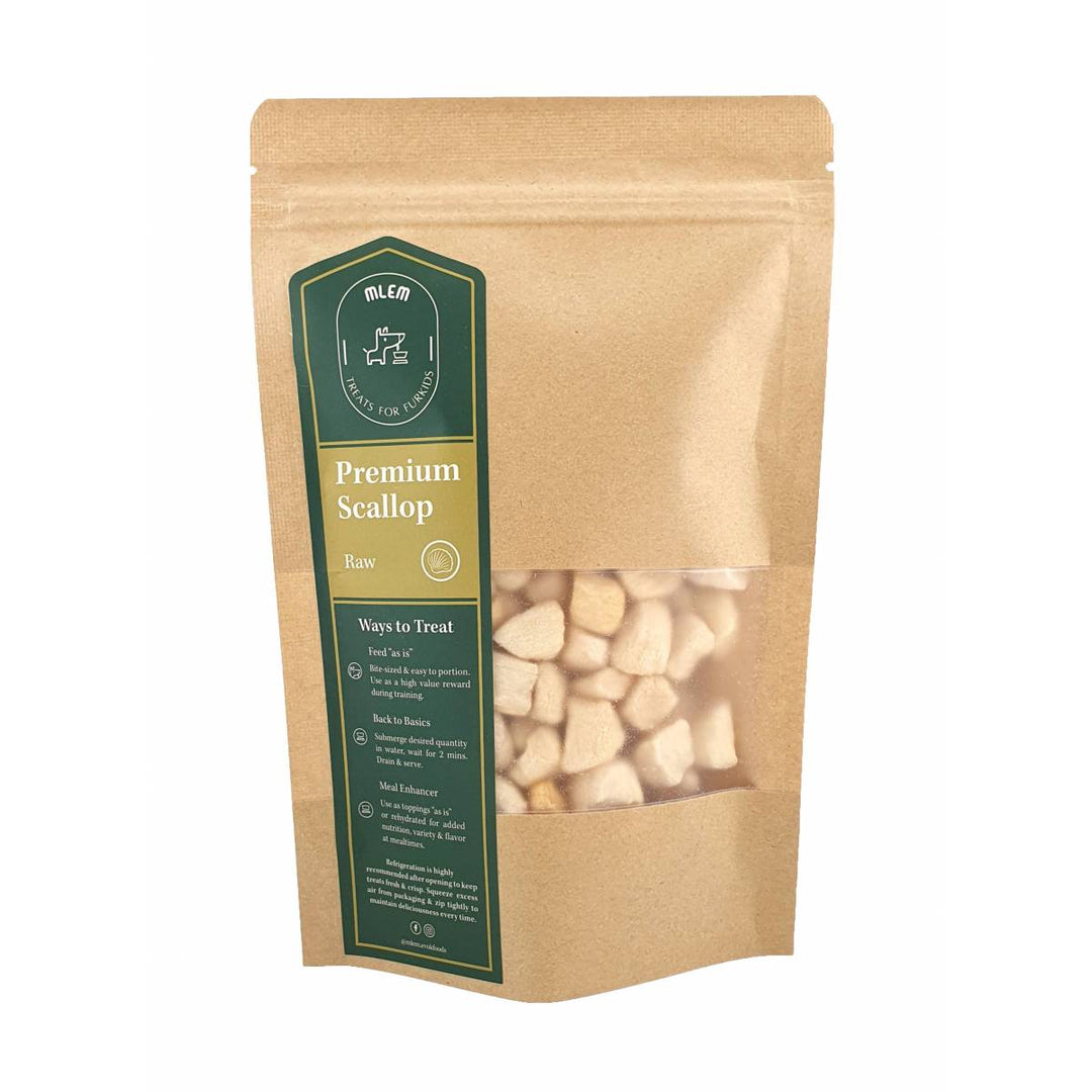 Freeze Dried Premium Scallop