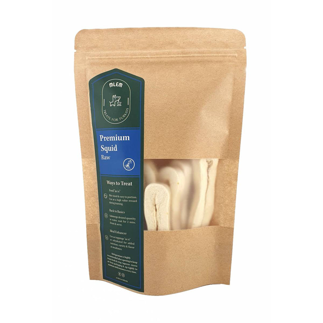 Freeze Dried Premium Squid
