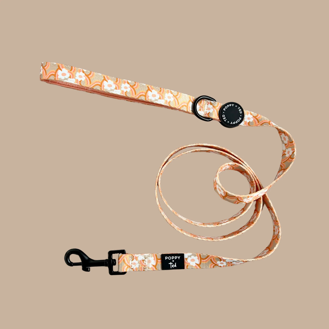 Dog Leash | Marshmallow Maize