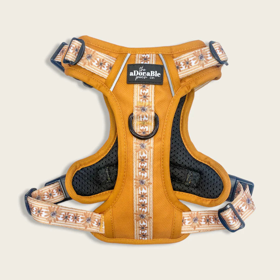 Loopy dog harness hotsell