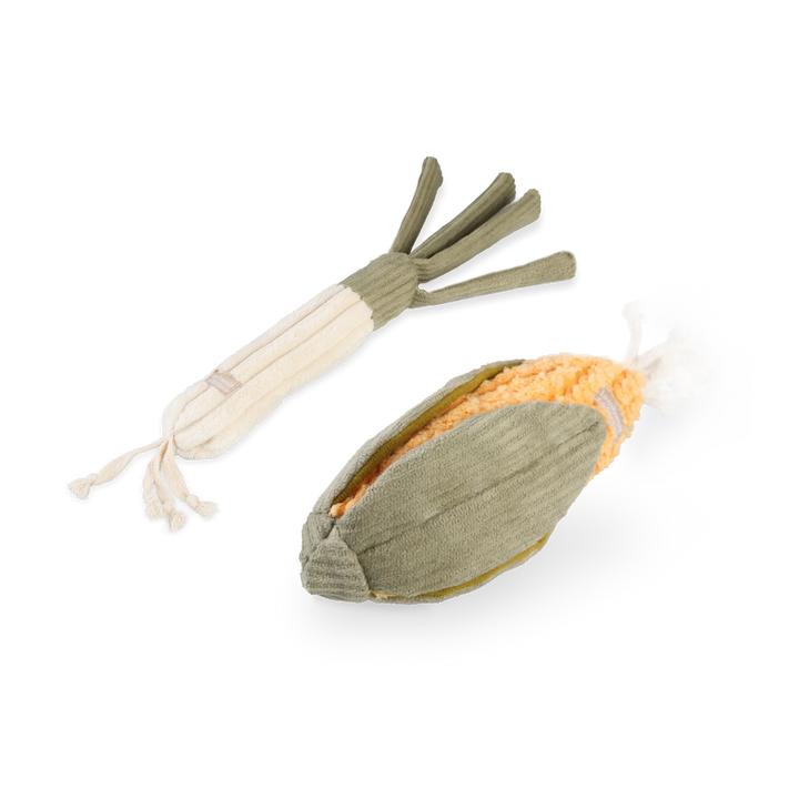 Corn & Leek Set
