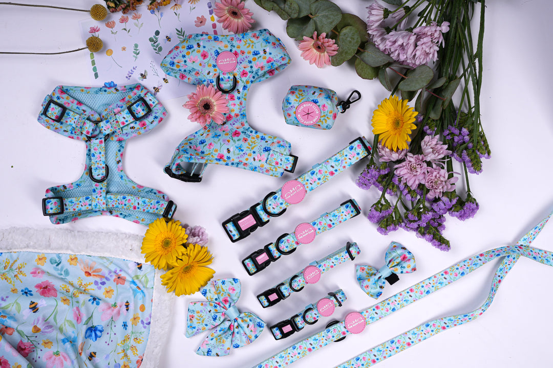 Bumble & Bloom