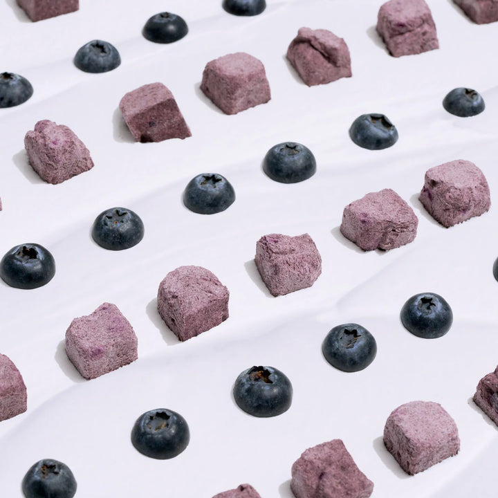 Freeze-dried Yogurt with Blueberry