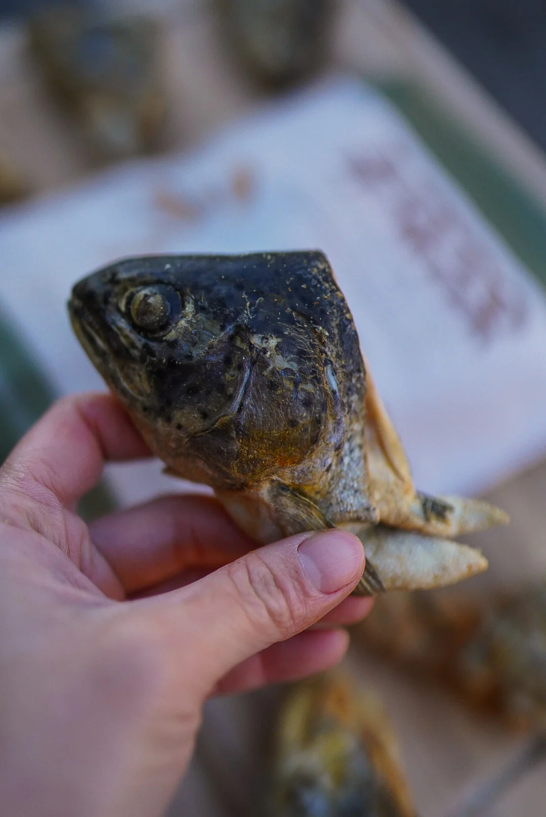 Freeze-Dried Trout Heads | Litto Howler