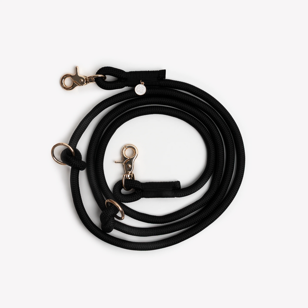 Hands-Free Braided Leash