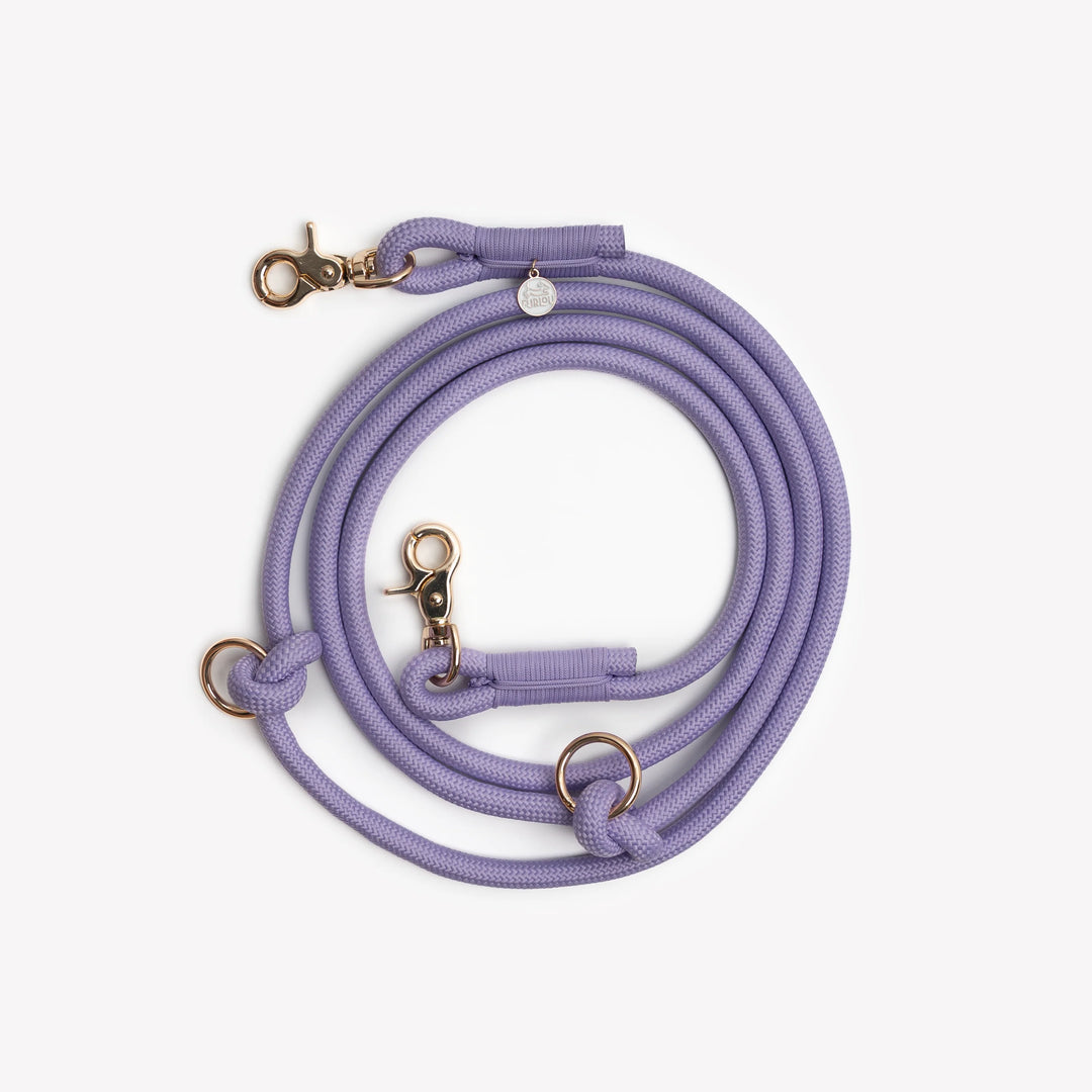 Hands-Free Braided Leash