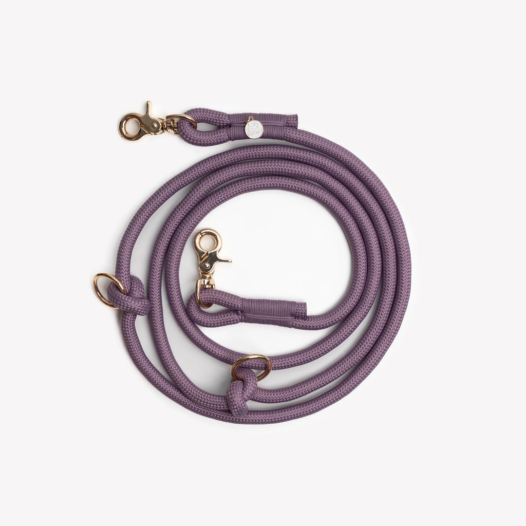 Hands-Free Braided Leash