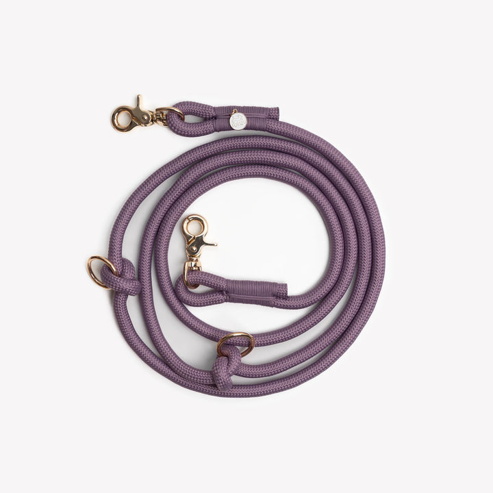 Hands-Free Braided Leash