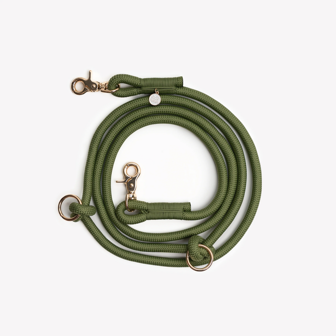 Hands-Free Braided Leash
