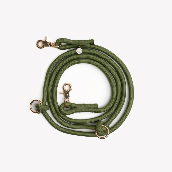 Hands-Free Braided Leash