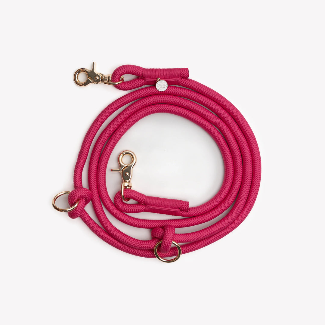 Hands-Free Braided Leash