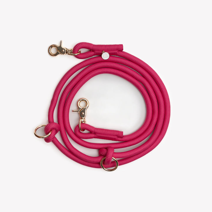 Hands-Free Braided Leash