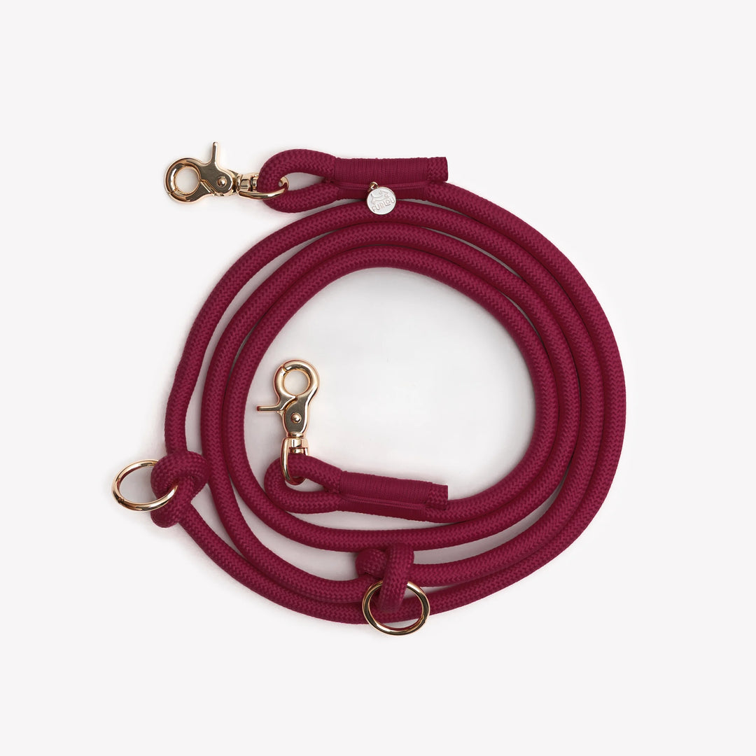 Hands-Free Braided Leash