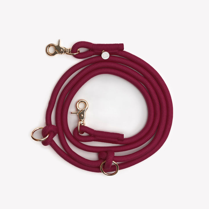 Hands-Free Braided Leash
