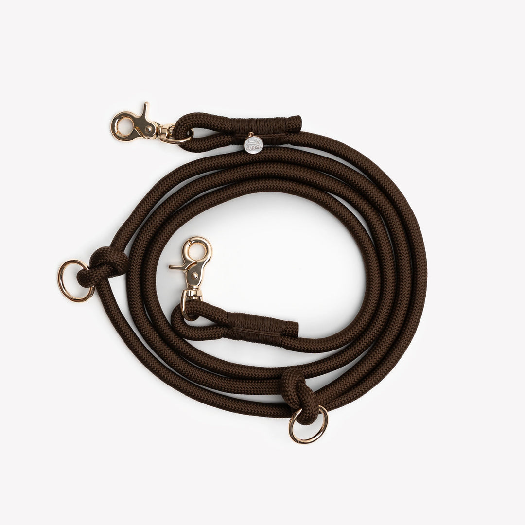 Hands-Free Braided Leash
