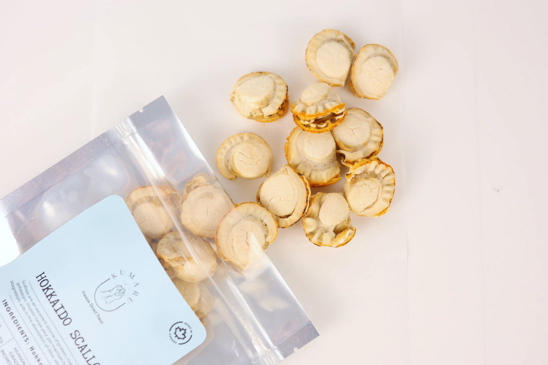 Freeze Dried Hokkaido Scallop