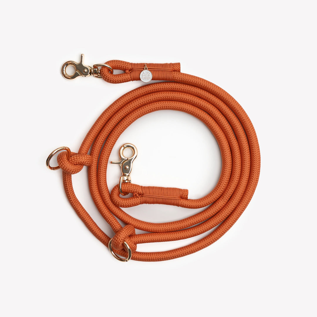Hands-Free Braided Leash