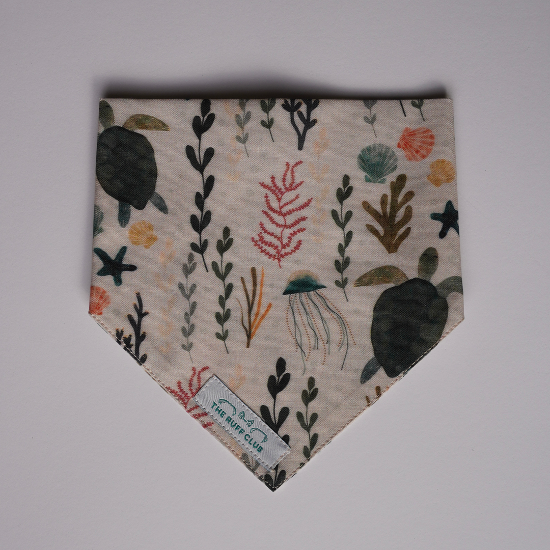 Wave Chaser | Pet Bandana Collection