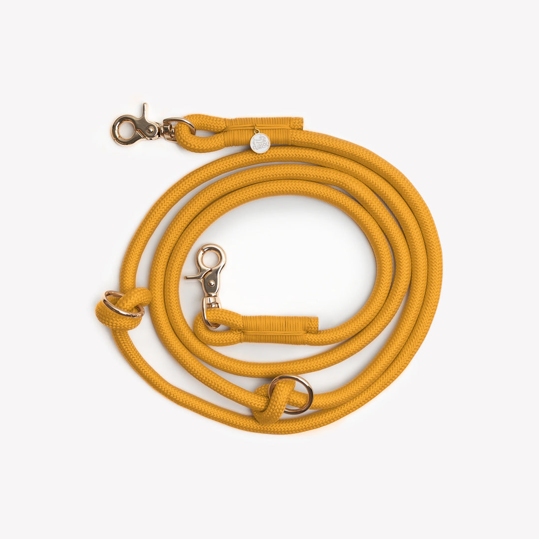 Hands-Free Braided Leash