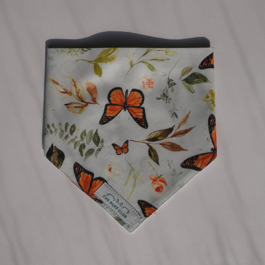 Meadow Pup | Pet Bandana Collection