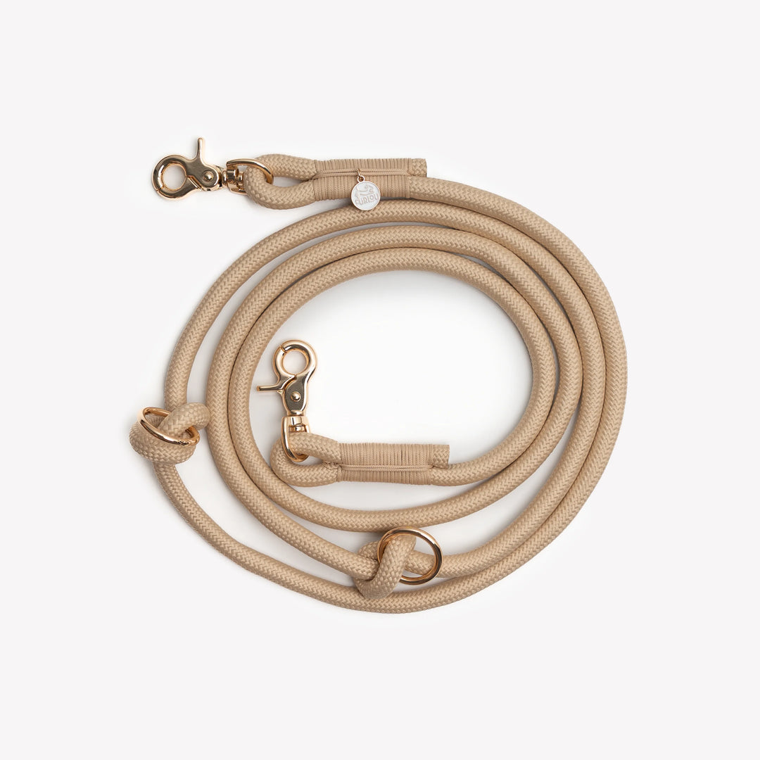 Hands-Free Braided Leash
