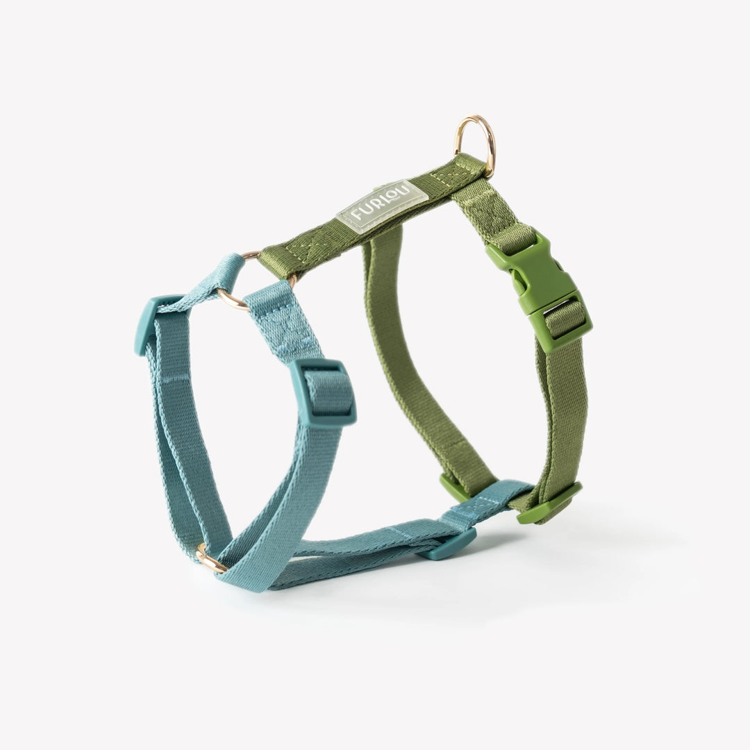 Dog Harness | Blue and Green
