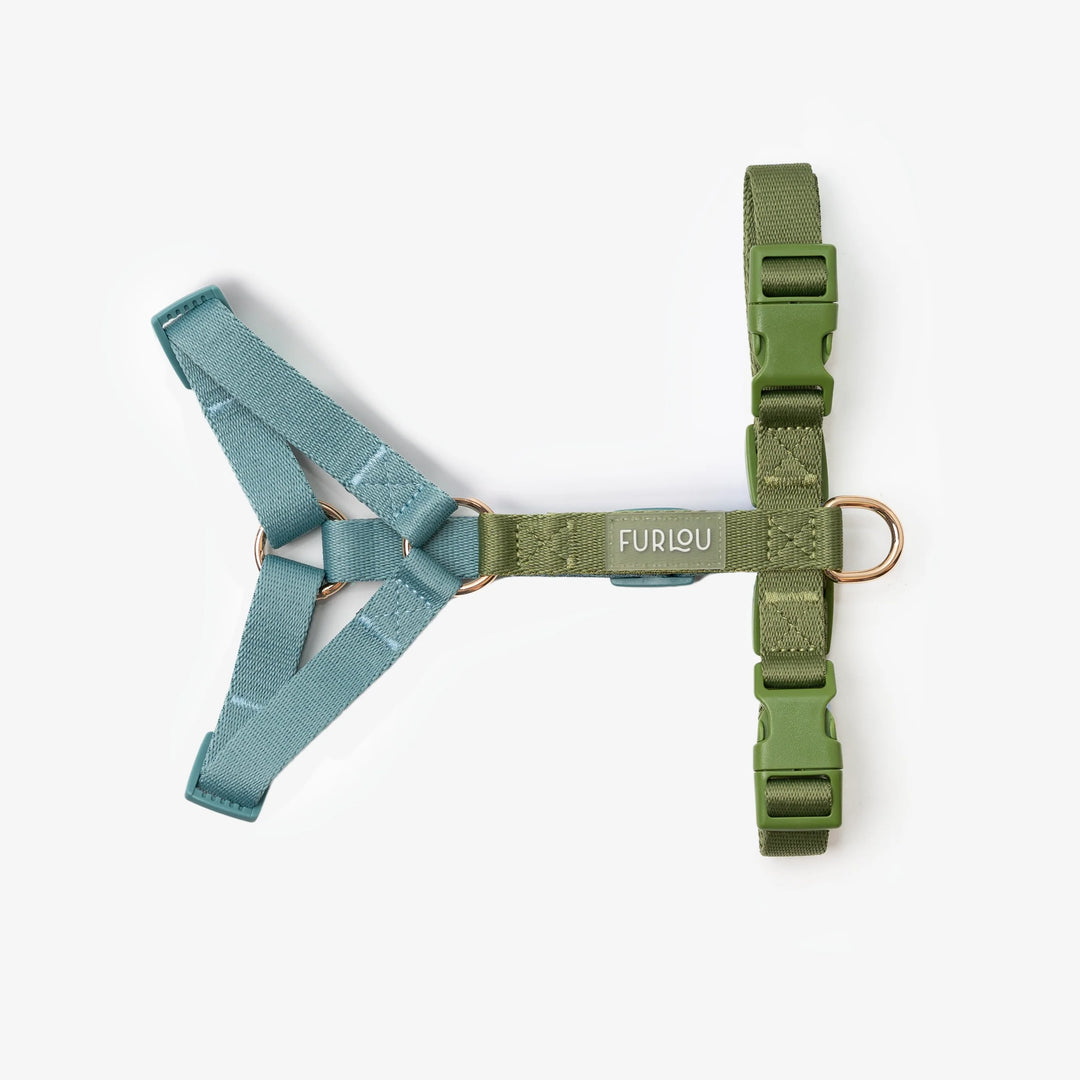 Dog Harness | Blue and Green