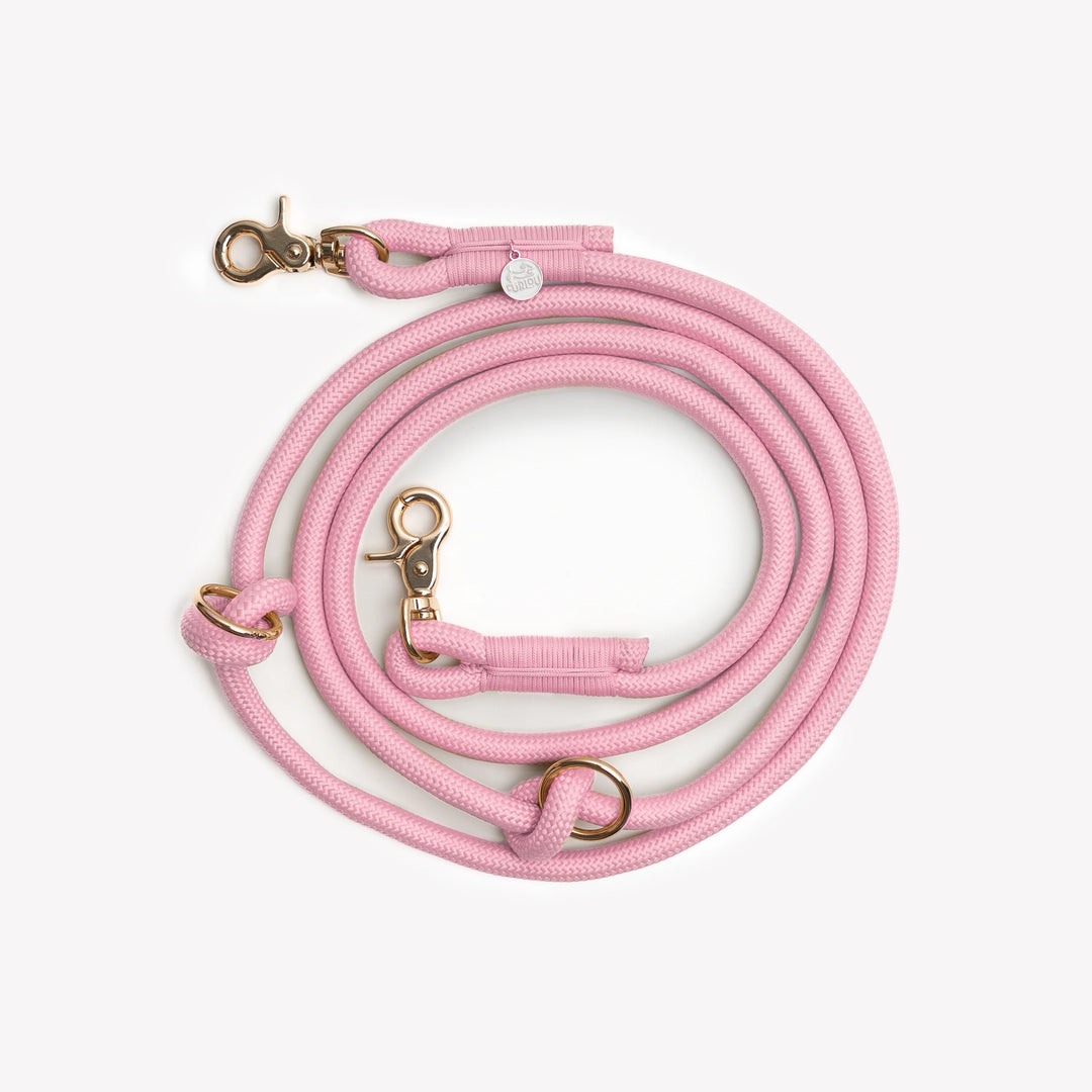 Hands-Free Braided Leash