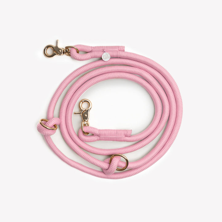 Hands-Free Braided Leash