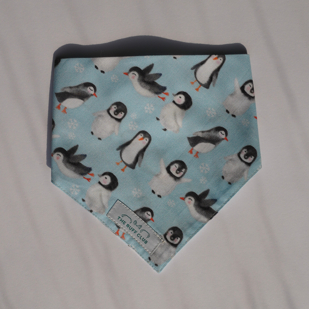 Penguin Parade | Pet Bandana Collection