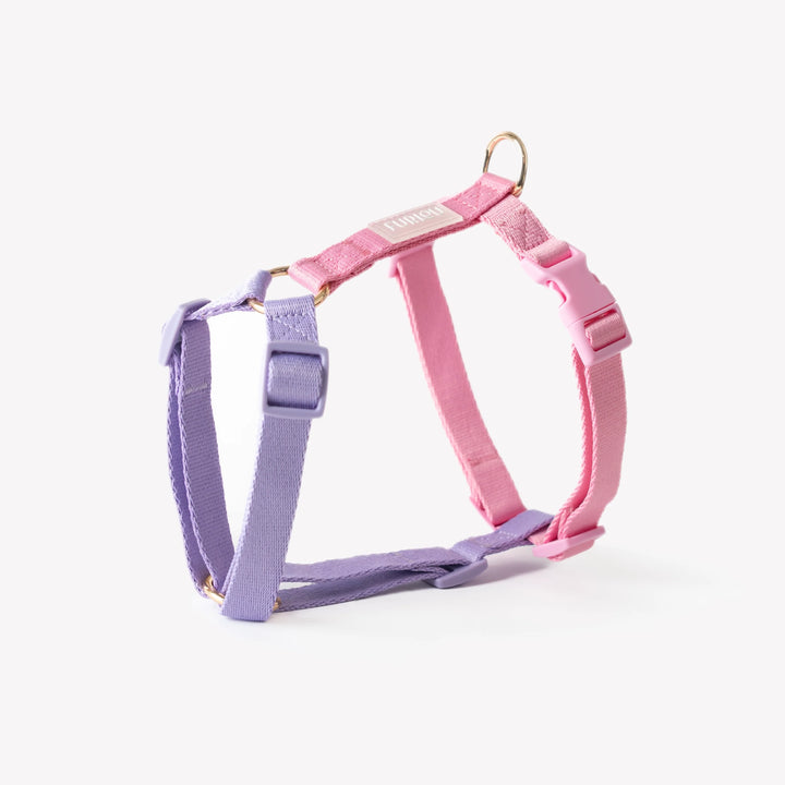 Dog Harness | Lavender and Pink