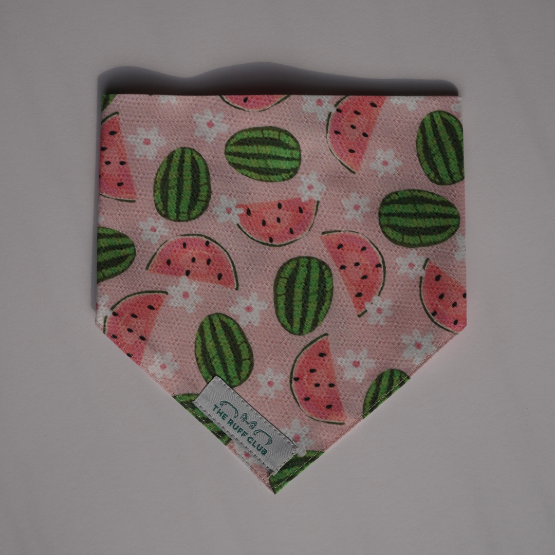 Sweet Melon | Pet Bandana Collection