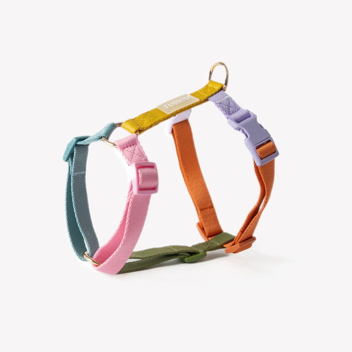 Dog Harness | Rainbow