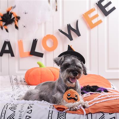 Howloween Night – Pumpkin