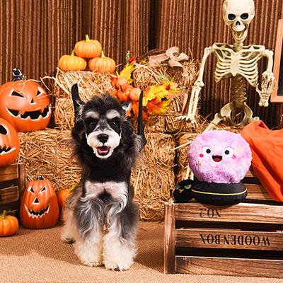 Howloween Night — Crystal Ball