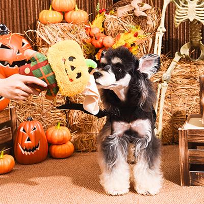 Howloween Night — Scarecrow