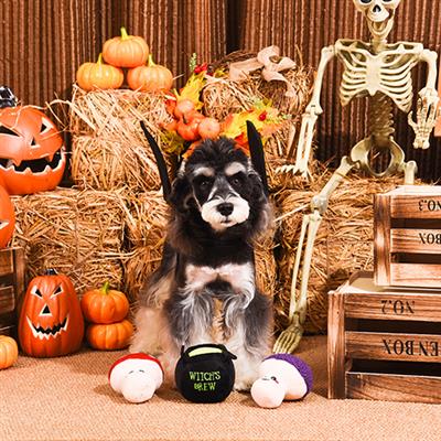 Howloween Night — Witches Brew 1