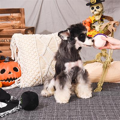 Howloween Night — Witches Brew 1