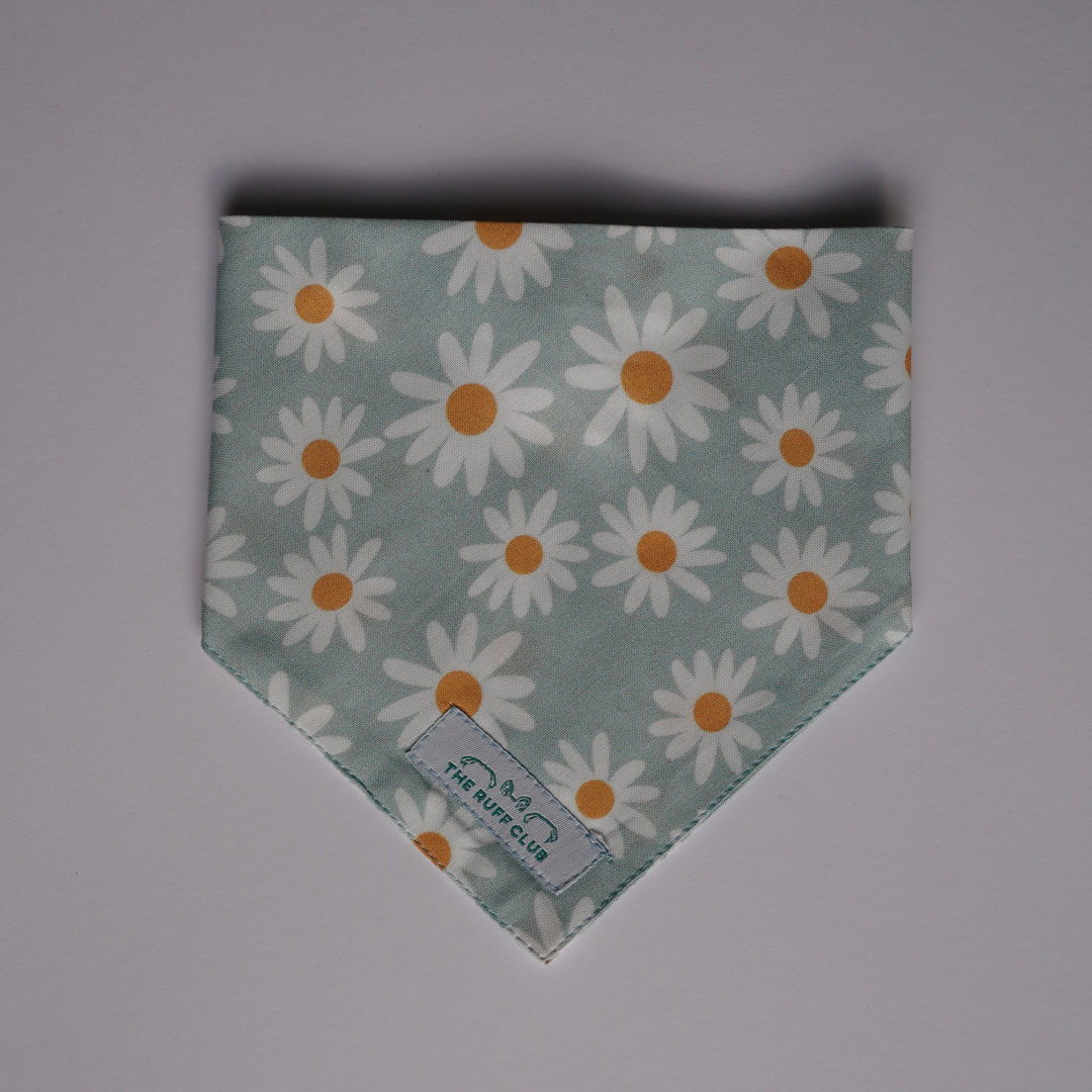 Daisy Days | Pet Bandana Collection