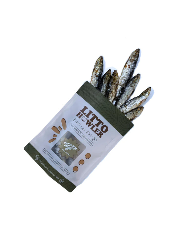 Whole Sardines