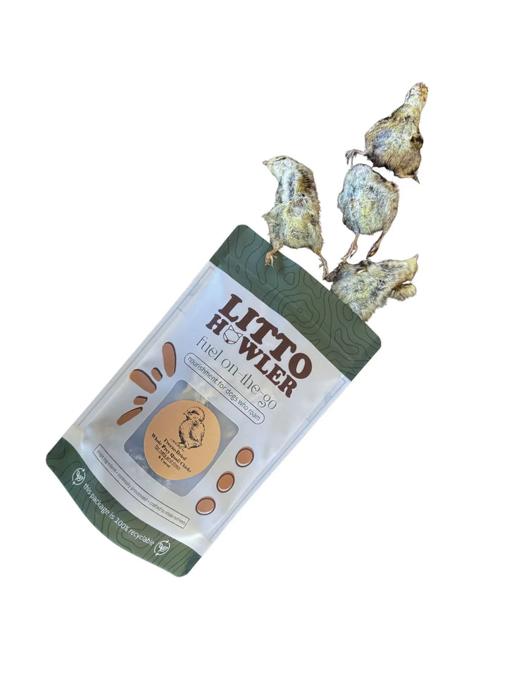 Freeze-Dried Whole Prey 1-Day Old Quail Chicks | Litto Howler