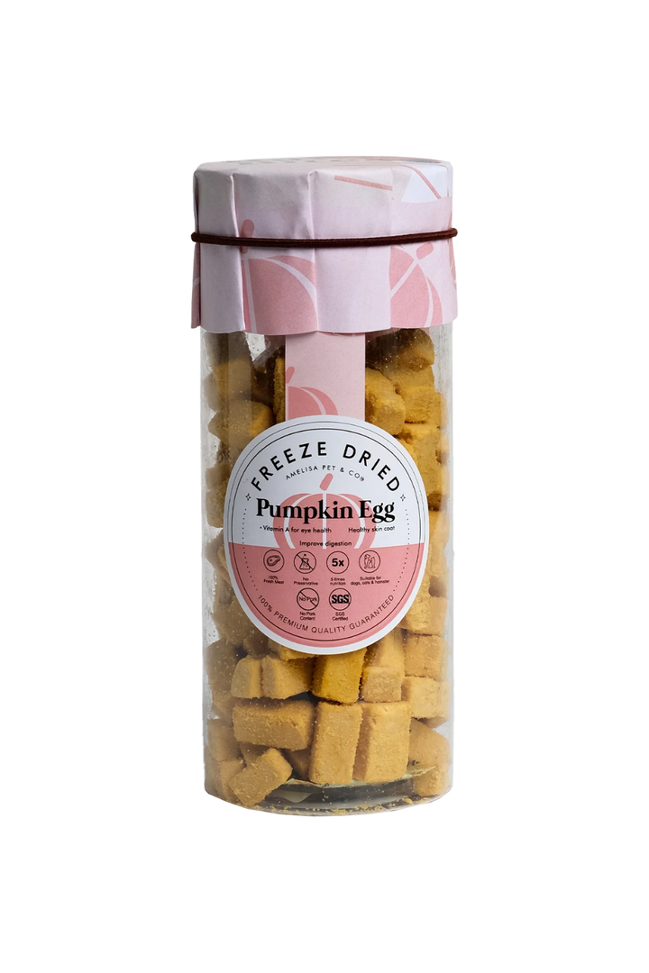 Rawly Bites | Freeze-Dried Pumpkin & Egg